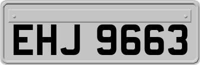 EHJ9663