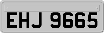 EHJ9665