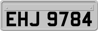 EHJ9784