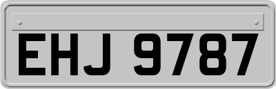EHJ9787