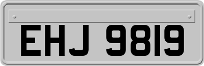 EHJ9819