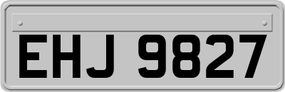 EHJ9827