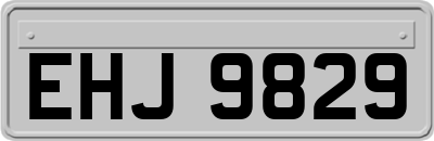 EHJ9829