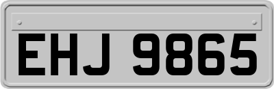 EHJ9865
