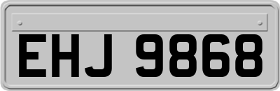 EHJ9868