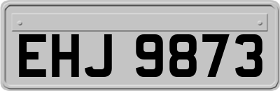 EHJ9873