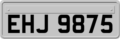 EHJ9875