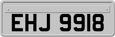 EHJ9918
