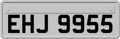 EHJ9955