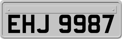 EHJ9987
