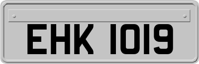 EHK1019