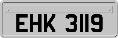 EHK3119