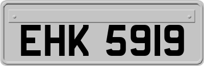 EHK5919