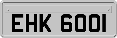 EHK6001