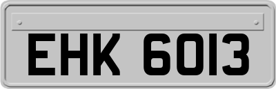 EHK6013