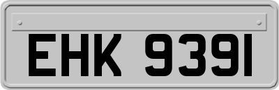 EHK9391