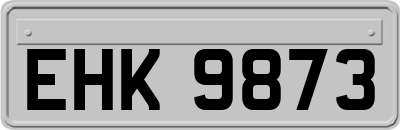 EHK9873