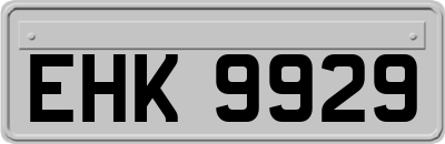 EHK9929