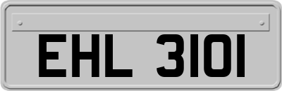EHL3101