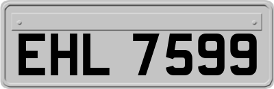 EHL7599