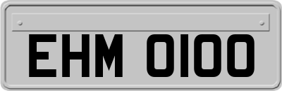 EHM0100