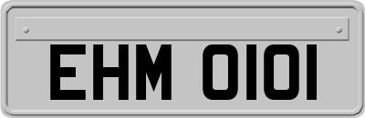EHM0101