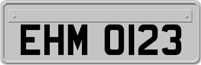 EHM0123