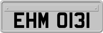 EHM0131