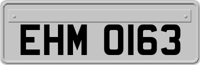 EHM0163