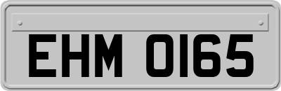 EHM0165