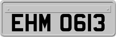 EHM0613