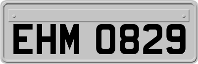 EHM0829