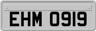 EHM0919