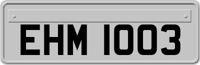 EHM1003
