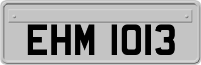 EHM1013