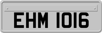 EHM1016
