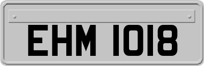 EHM1018