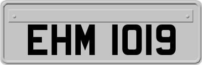 EHM1019