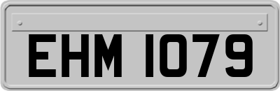 EHM1079
