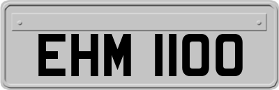 EHM1100