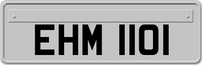 EHM1101