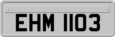 EHM1103