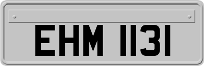 EHM1131
