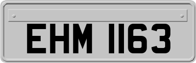 EHM1163