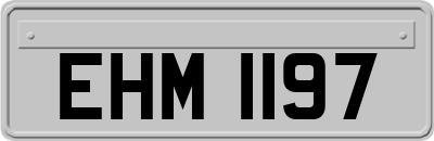 EHM1197