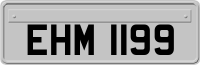 EHM1199