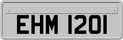 EHM1201
