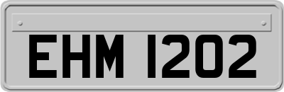 EHM1202