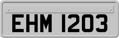 EHM1203