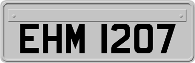 EHM1207